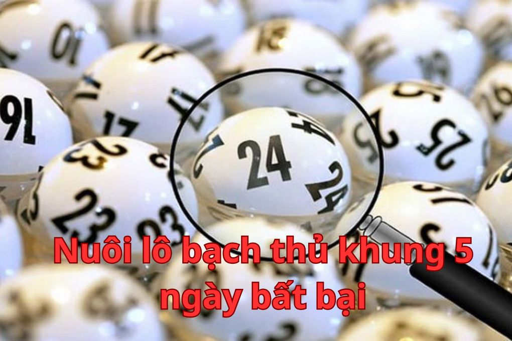 Nuôi lô bạch thủ khung 5 ngày bất bại